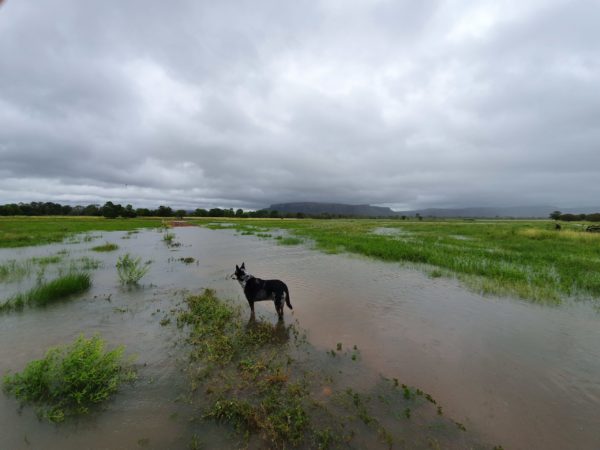 wet season at Diggers Rest Station