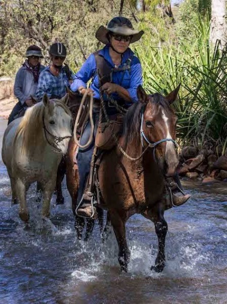 Diggers Rest horses
