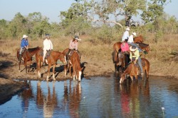 Watering the horses