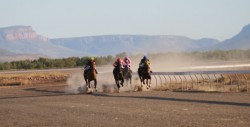 Halls Creek Cup Race 2009 - Coming round the bend (click to enlarge)