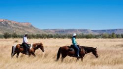 Diggers Rest Station