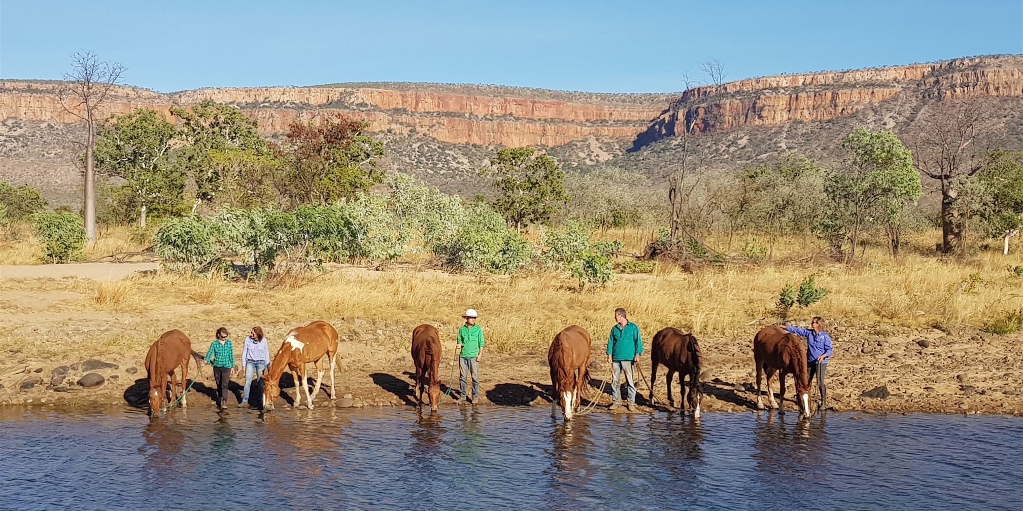 Cockburn Creek morning