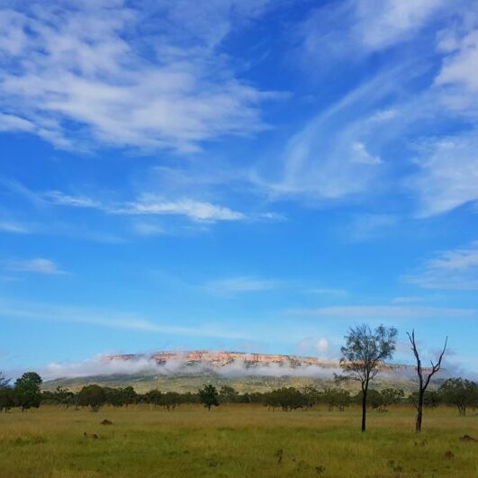 a beautiful Kimberley morning