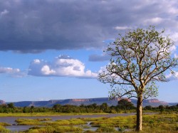 Tidal King River and Cockburns